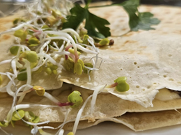 Naleśniki wytrawne: ser, szynka, pieczarki